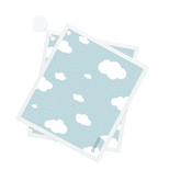 In The Clouds
