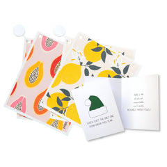 Eco-Santa Holiday Bundle