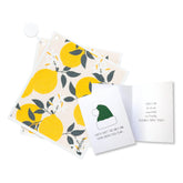 Eco-Santa Holiday Bundle