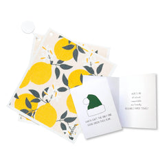 Eco-Santa Holiday Bundle